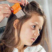 Full lice treatment